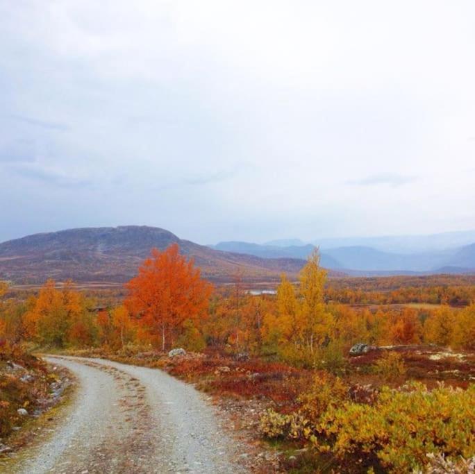 Fjellstova Storehorn Apartments Ulsak エクステリア 写真