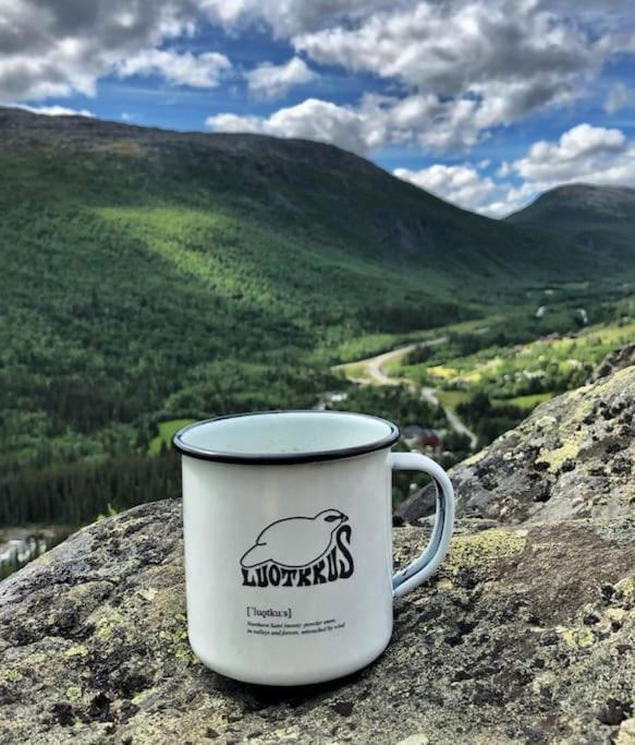 Fjellstova Storehorn Apartments Ulsak エクステリア 写真